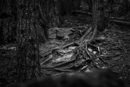 Inside the Start Gate: What First-Time Racers Should Expect