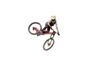 Ryder